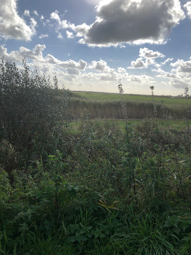 Fietspad Grienedyk - Thumbnail