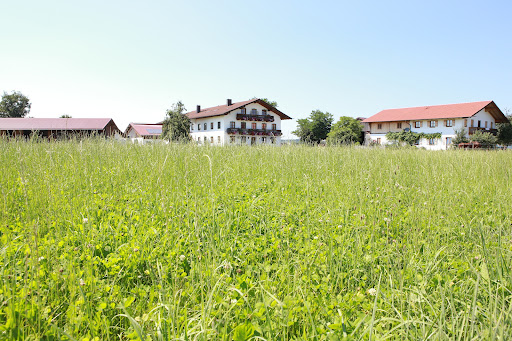 Springerhof - Visual