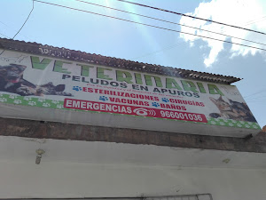 Veterinaria Peludos En Apuros 0