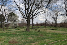 Harvey's Garden, Winchester, United States