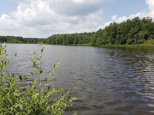 Oberer Altenteich