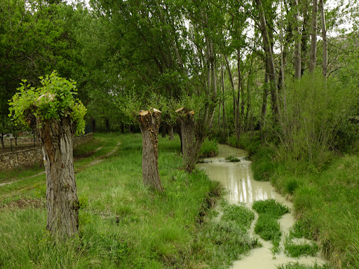 Paseo fluvial Río Guadalope