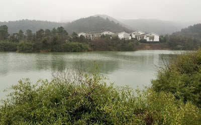 natural-feature