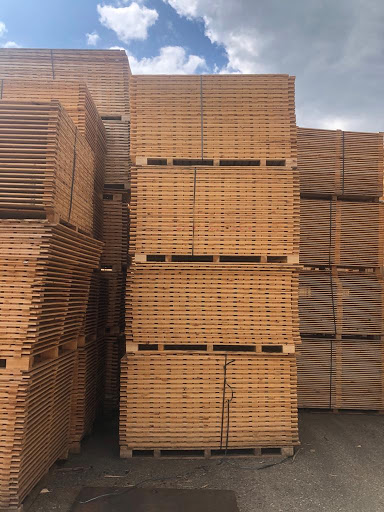 Modon Pallets B.V. - Thumbnail