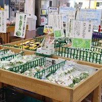 JA大阪泉州 農産物直売所 Rizumie こーたり～な