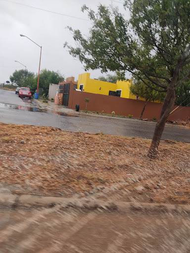 Parque Piolo