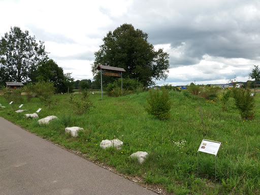 Wildobst-Lehrpfad