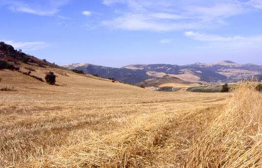 Comune Di Panni - Visual