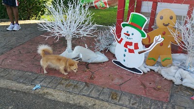 Photos of Parque del Italia