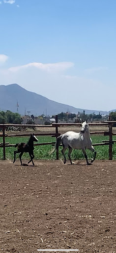 Rancho san Martin - Thumbnail