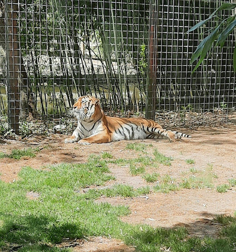 Cohanzick Zoo - Thumbnail