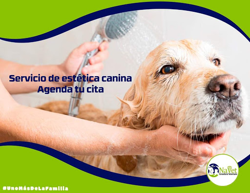 Clínica Veterinaria NaVet