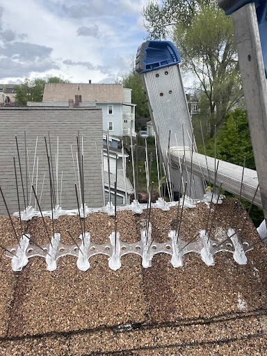 FRS Roofing + Gutters - Thumbnail