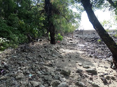 Photos of Pulau Popole