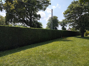 Photo n°2 de Taille et Jardin à Gueures (Service d'élagage)