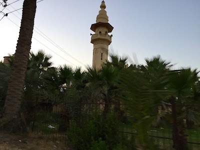 Photos of مسجد قناطر إدفينا
