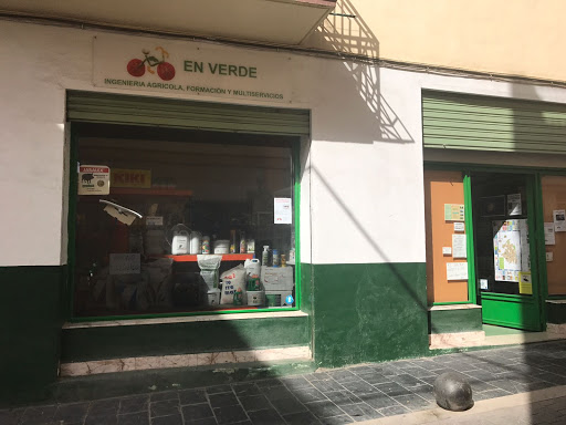 Enverde - Visual