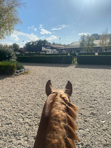 Show Jumping International De Vichy