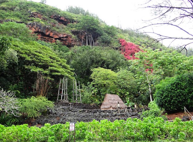 Waimea Valley