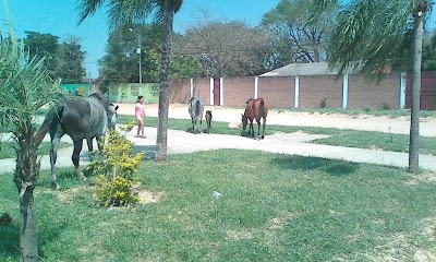 Photos of Plaza El Fuerte