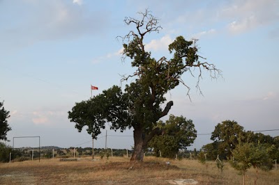 Uşak Eşme Takmak müzesi