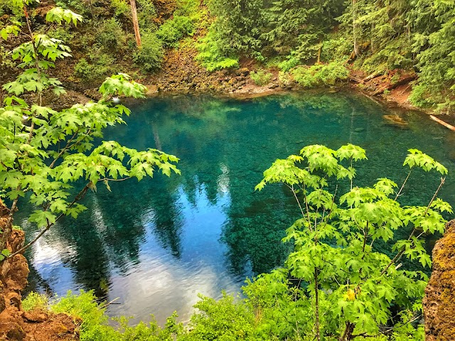 Tamolitch (Blue) Pool