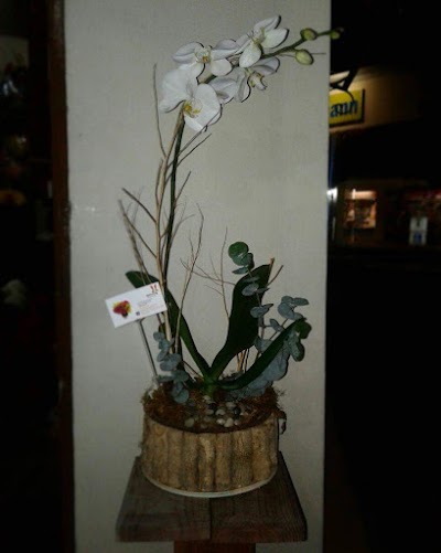 Photos of Florister&iacute;a Armony