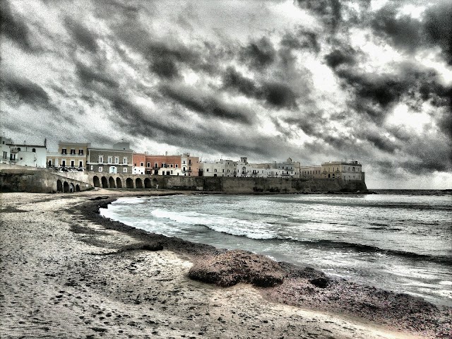 Beach of Purity