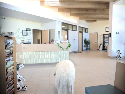 Clare Eddy Thaw Animal Hospital