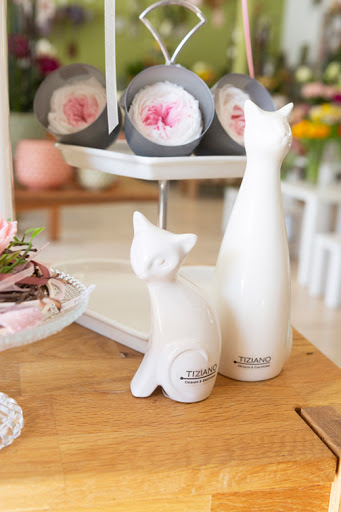 Blumen Brenner - Visual