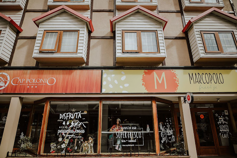 Marcopolo Freelife — photo