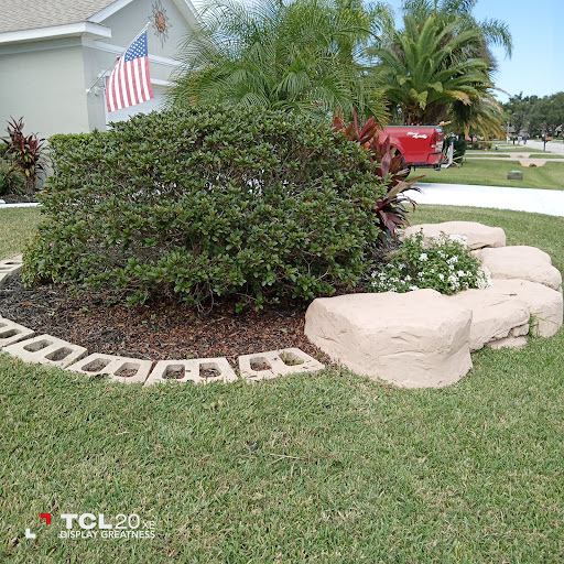 Ormond Beach - Visual
