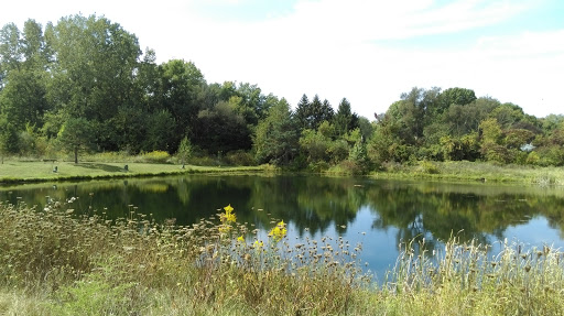 Devonshire Park - Visual