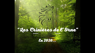 Photo n°2 de Les Crinières de l'Orne à Échauffour (Centre de sports d'aventure)