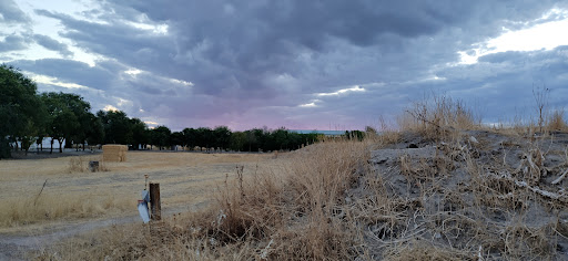 Alcabon - Visual