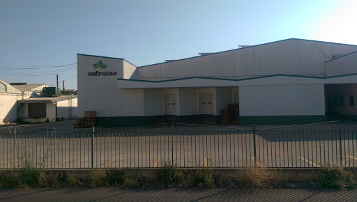 ECOFRUTAS(HERETAT) - Thumbnail