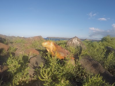Photos of Happy Gringo Travel