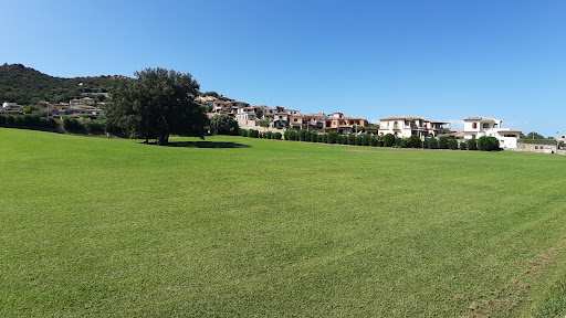 Pinewood And Lawn - Thumbnail