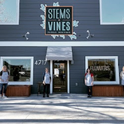 Stems & Vines Floral Boutique