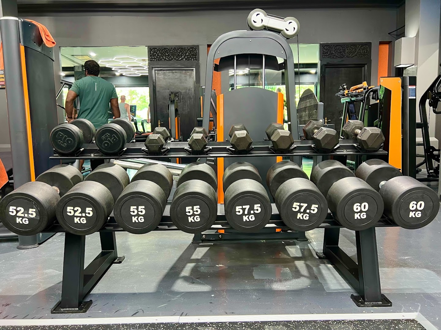 Elite Gym and Fitness Exclusive