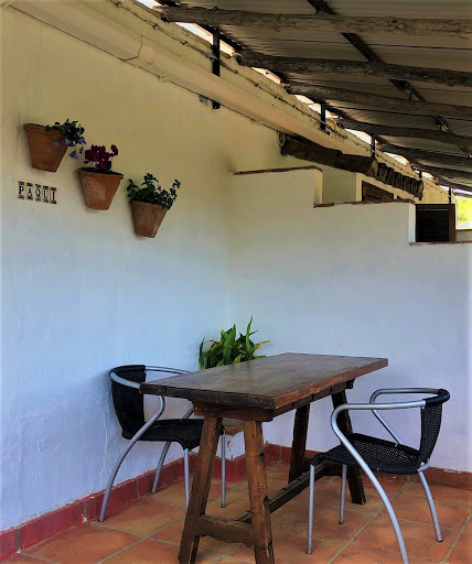 Finca La Rana Verde - Thumbnail