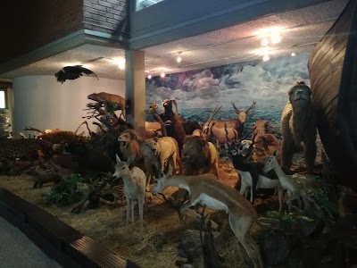 Photos of University of Antioquia Museum