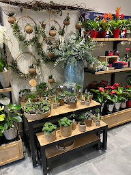 Photo n°5 de MONCEAU FLEURS 13012 à Marseille (Fleuriste)