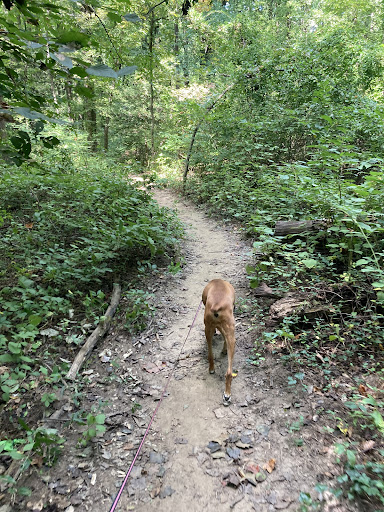 Forked Creek Trail - Thumbnail