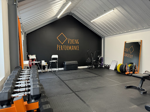 Viking Performance - Visual
