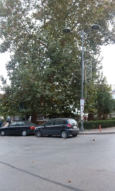 Photos of &Kappa;&omicron;&mu;&mu;&omega;&tau;ή&rho;&iota;&omicron; Michael