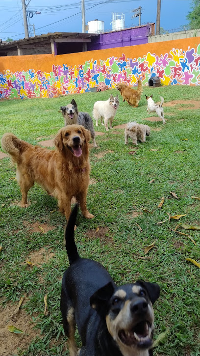 Momento Pet - Hotel e Creche