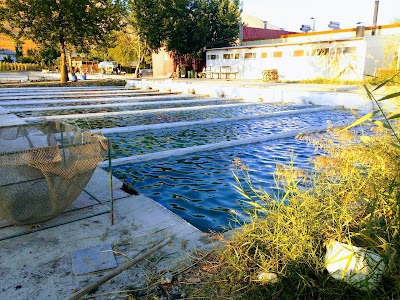 Photos of G&ouml;lpinar Trout Recreational Facilities