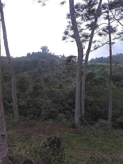Photos of SDN Sirnabakti