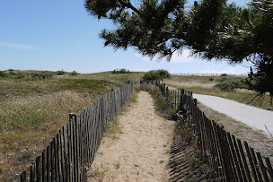 Photo n°9 de Agence Du Marais Girard à Bretignolles-sur-Mer (Agence immobilière)